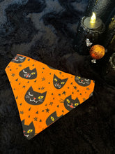 Load image into Gallery viewer, Lucky or unlucky black cats