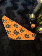 Load image into Gallery viewer, Lucky or unlucky black cats