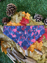 Load image into Gallery viewer, Autumn In The Woods - Pet Bandanas