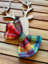 Load image into Gallery viewer, Tutti Frutti Tartan - Pet Bandanas & Matching Bow Ties