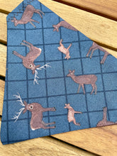 Load image into Gallery viewer, Highlander