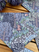 Load image into Gallery viewer, Scottish woodlands