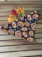 Load image into Gallery viewer, Pumpkin Patch - Pet Bandana