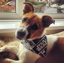 Load image into Gallery viewer, Star Wars - Pet Bandanas & Matching Scrunchies