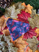 Load image into Gallery viewer, Autumn In The Woods - Pet Bandanas