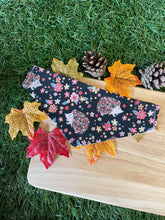 Load image into Gallery viewer, It’s a Hedgehog kinda day Pet Bandana