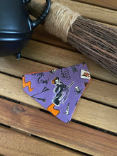 Load image into Gallery viewer, It’s Just A Bunch Of Hocus Pocus - Pet Bandanas
