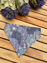 Load image into Gallery viewer, Scottish woodlands