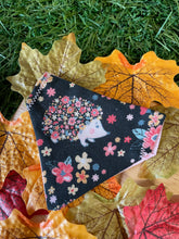 Load image into Gallery viewer, It’s a Hedgehog kinda day Pet Bandana