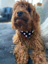 Load image into Gallery viewer, Liquorice All Sorts Sweets Pet Bandanas