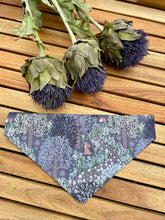 Load image into Gallery viewer, Scottish woodlands