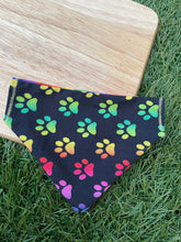 Load image into Gallery viewer, Paw Pride - Pet Bandanas & Matching Scrunchies