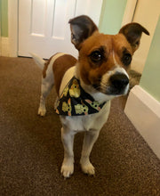 Load image into Gallery viewer, Grogu Bandana