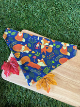 Load image into Gallery viewer, Who’s Looking Like a FOX? - Pet Bandanas & Matching Scrunchies