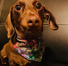Load image into Gallery viewer, In Another Galaxy - Pet Bandanas