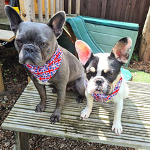 Load image into Gallery viewer, Union Jack Pet Bandana and scrunchie