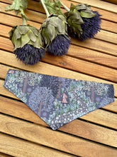 Load image into Gallery viewer, Scottish woodlands