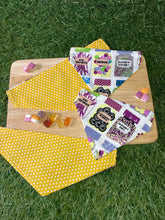 Load image into Gallery viewer, Sweet Jar Pet Bandanas