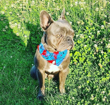 Load image into Gallery viewer, Spiderman Blue