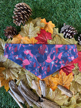 Load image into Gallery viewer, Autumn In The Woods - Pet Bandanas
