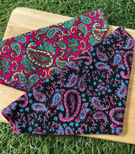 Load image into Gallery viewer, Paisley pattern Pet Bandanas & Scrunchies - Black and Pink or Pink and Green