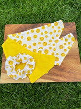 Load image into Gallery viewer, Smiley Faces