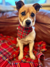 Load image into Gallery viewer, Could we be any more tartan ?Fleece blanket
