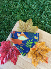 Load image into Gallery viewer, Who’s Looking Like a FOX? -  Pet Bandanas &amp; Matching Scrunchies
