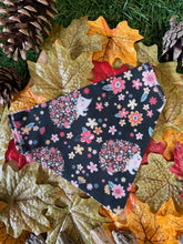 Load image into Gallery viewer, It’s a Hedgehog kinda day Pet Bandana
