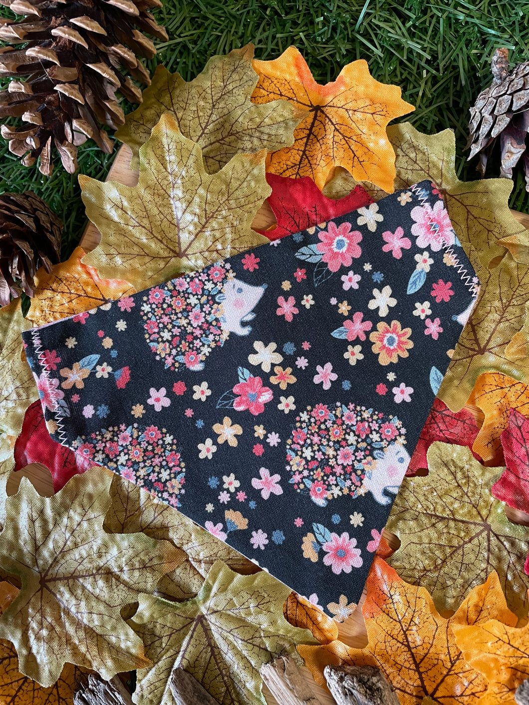It’s a Hedgehog kinda day Pet Bandana