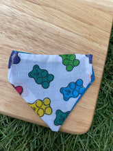 Load image into Gallery viewer, Gummy Bears - Pet Bandana
