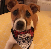 Load image into Gallery viewer, Skull and Rose Pet Bandana
