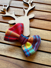 Load image into Gallery viewer, Tutti Frutti Tartan - Pet Bandanas &amp; Matching Bow Ties
