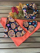 Load image into Gallery viewer, Pumpkin Patch - Pet Bandana
