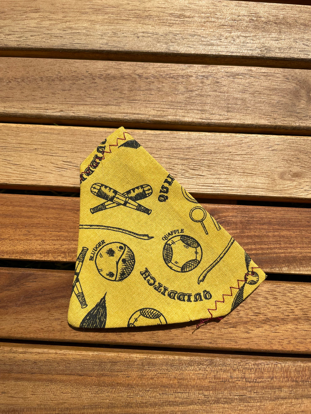 Quidditch Bandanna