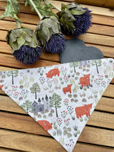 Load image into Gallery viewer, Castle’s &amp; Coo’s - Pet Bandanas
